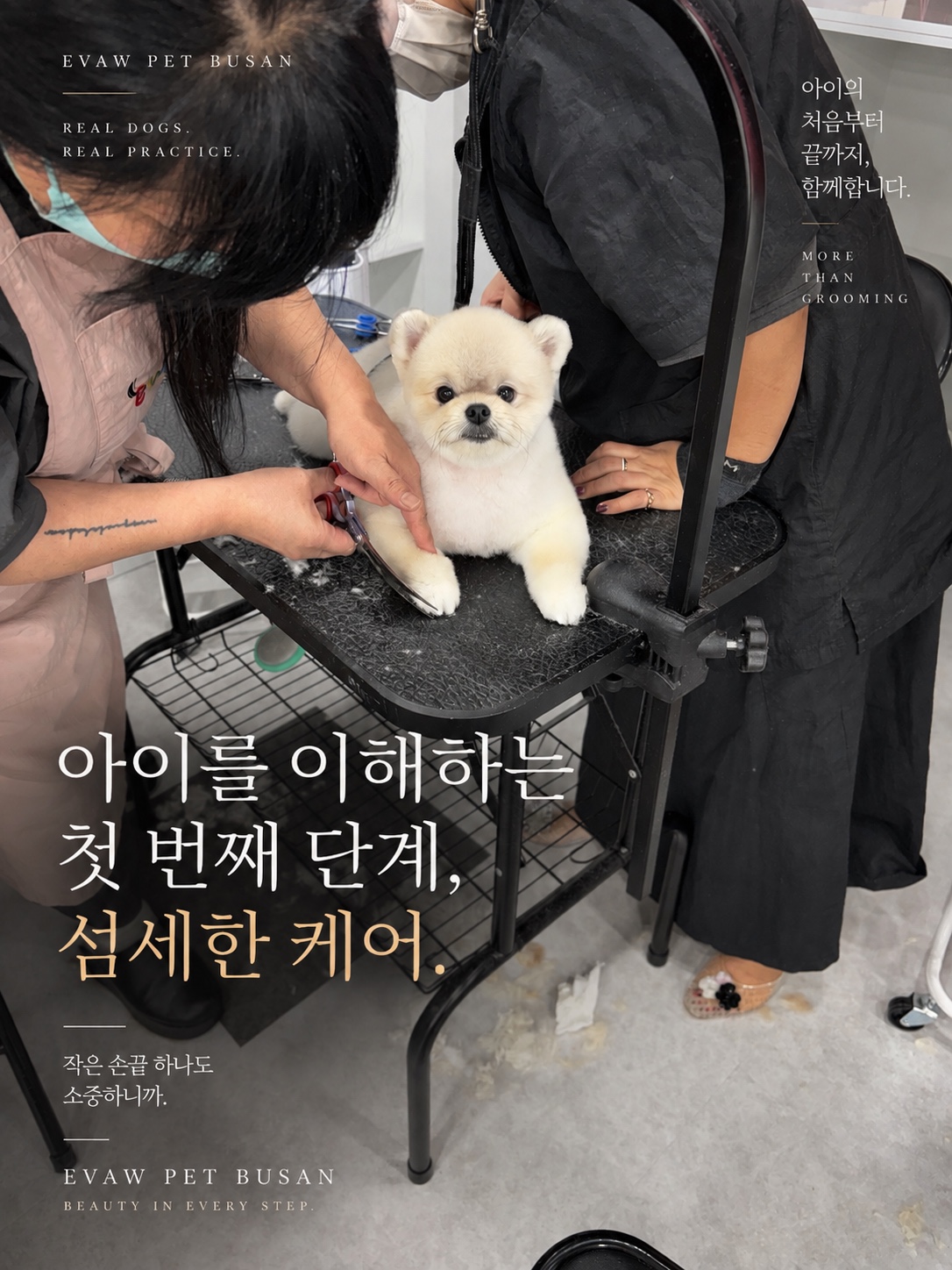 미용 테이블 위 포메라니안의 앞발을 섬세하게 다듬는 실습 장면
