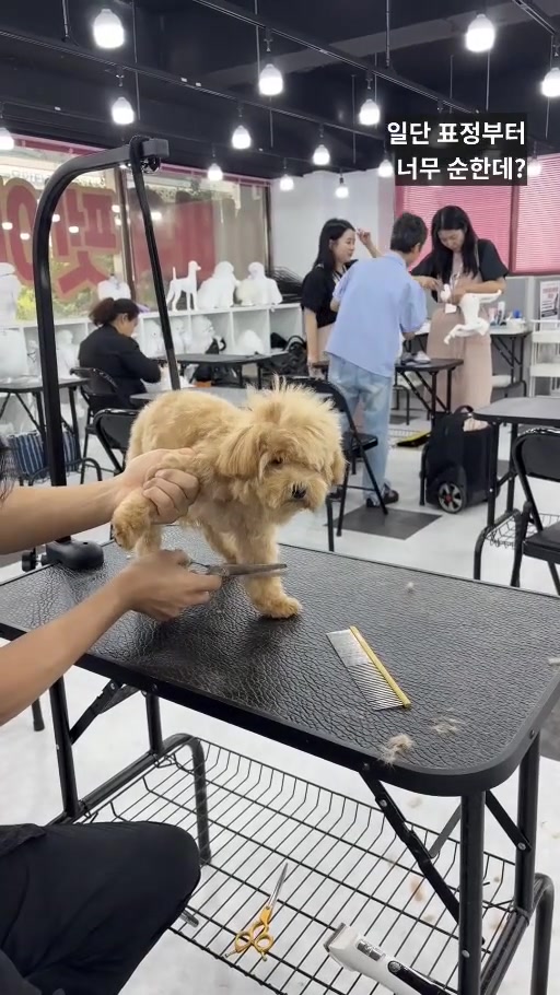 유튜브 EVAW 공식 프로필 대표 이미지